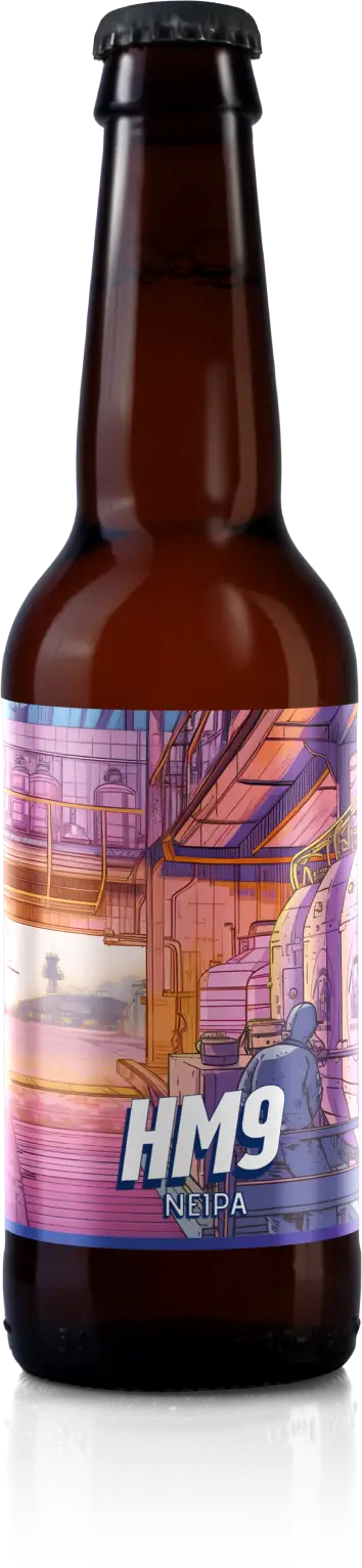 Bière HM9 33cl de la Brasserie La Tuilerie